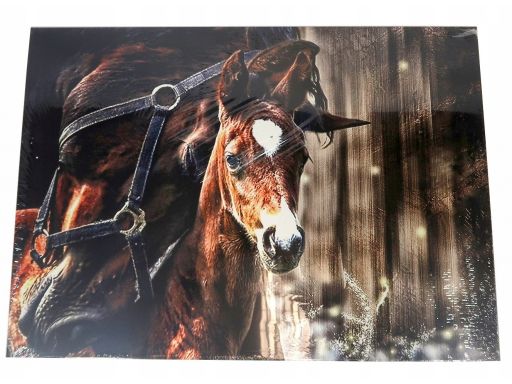 Metalowy obraz displate horse 67.5 cm x 48 cm