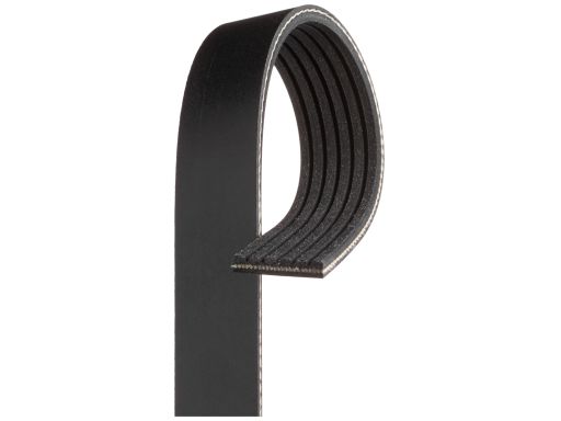 Pasek Wieloklinowy 6Pk1555