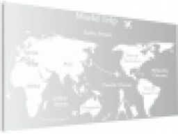 Naklejki na ścianę mapa świata world trip 120x60cm