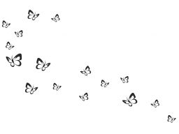 Naklejki na ścianę ścienne motylki motyle 60 cm