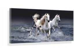 Dzikie konie obraz na płótnie canvas 120x60cm